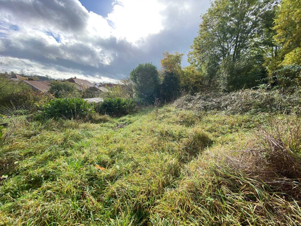  te koop dorpsboerderij Voisey Haute-Marne 20