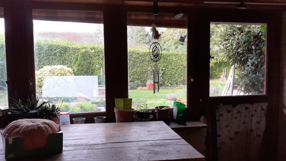  te koop dorpshuis Bailleul Orne 19