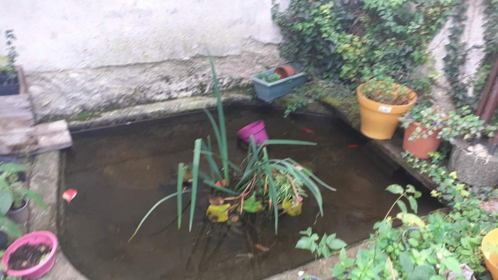  te koop dorpshuis Bailleul Orne 13