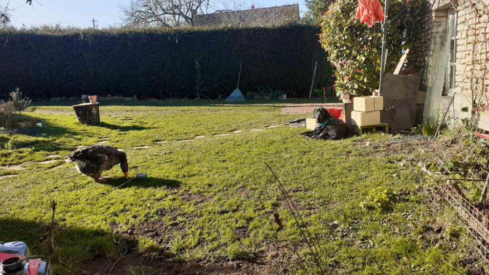  te koop dorpshuis Bailleul Orne 16