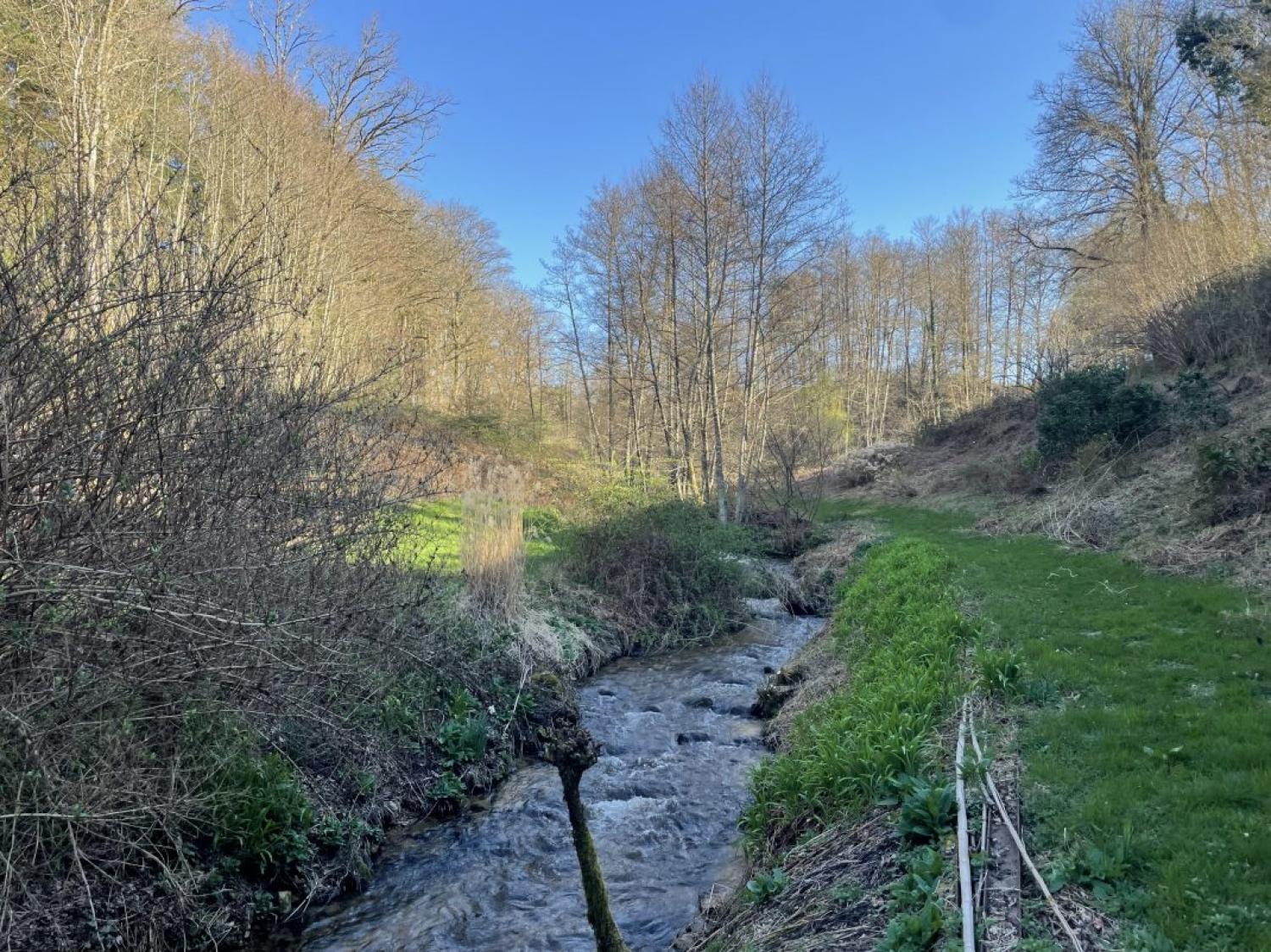  te koop vrijstaand huis Peyrat-le-Château Haute-Vienne 17