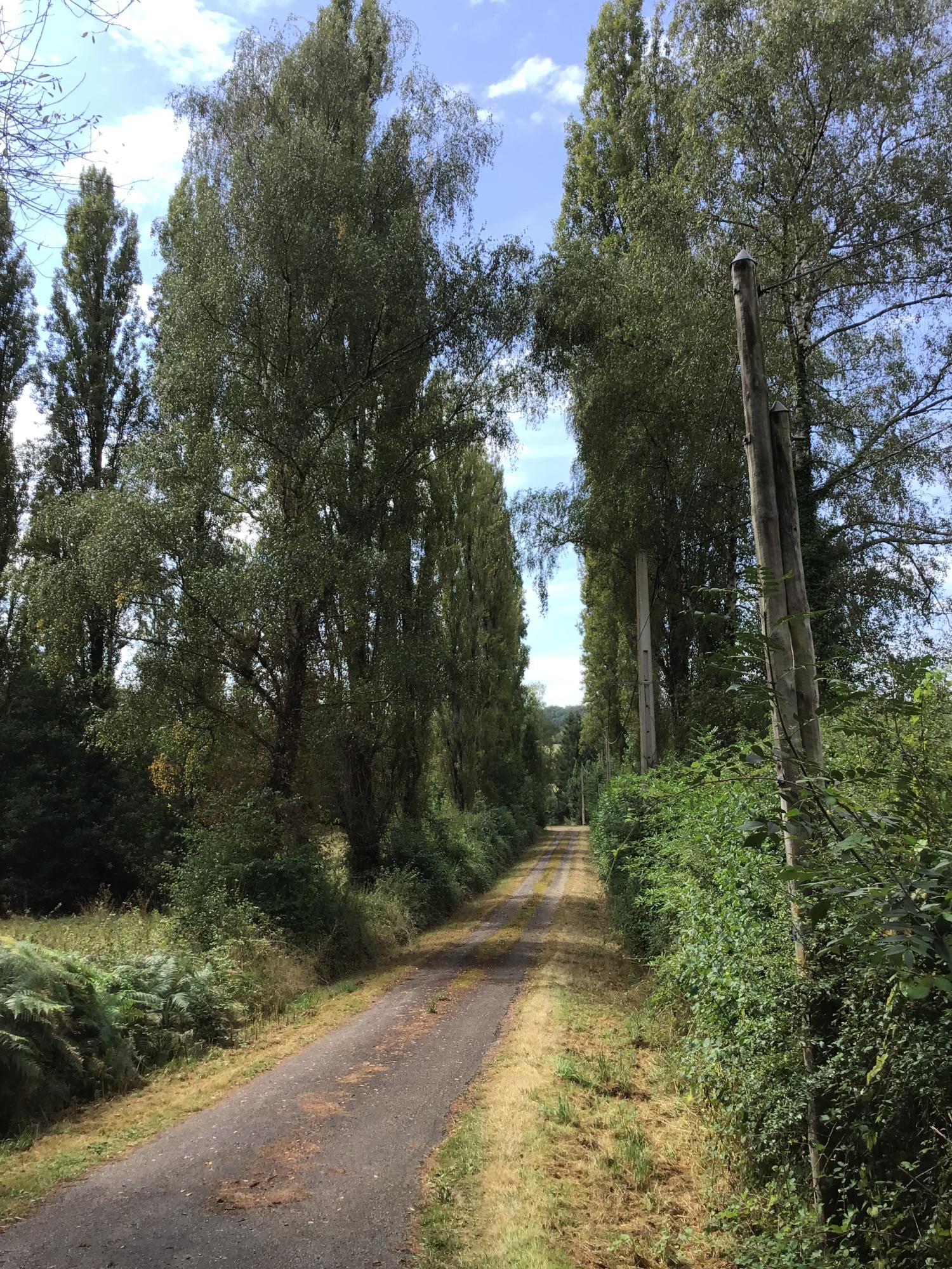  te koop vrijstaand huis Abzac Charente 4