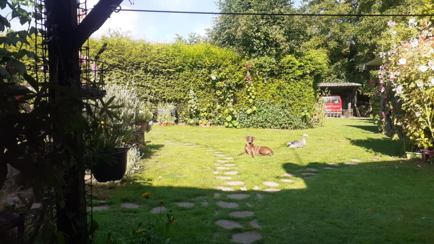  te koop dorpshuis Bailleul Orne 3