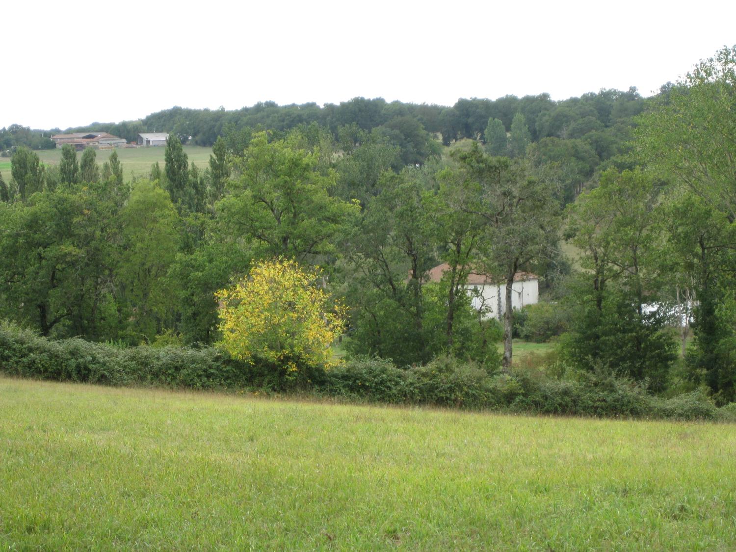  te koop vrijstaand huis Abzac Charente 3
