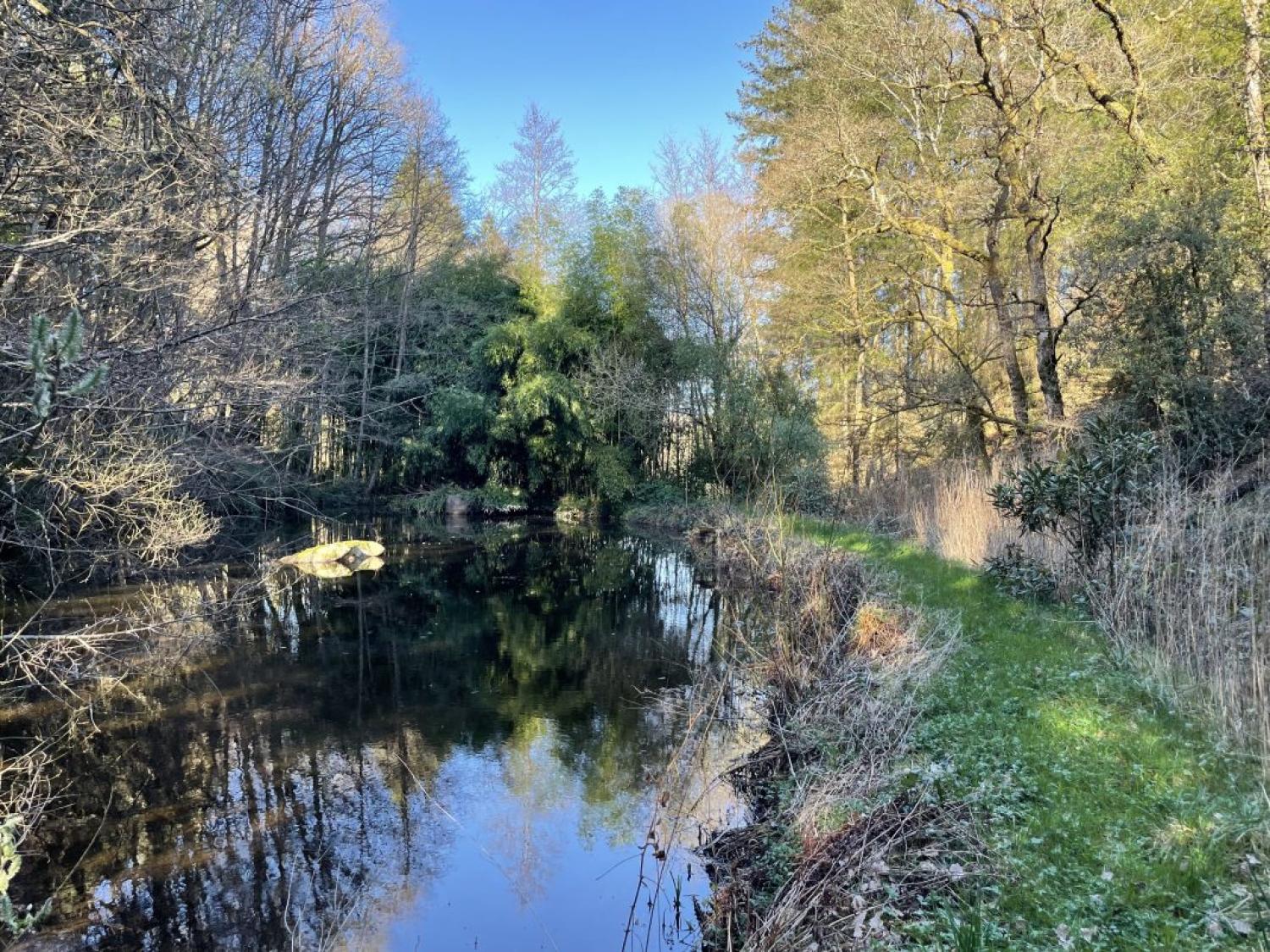  te koop vrijstaand huis Peyrat-le-Château Haute-Vienne 16