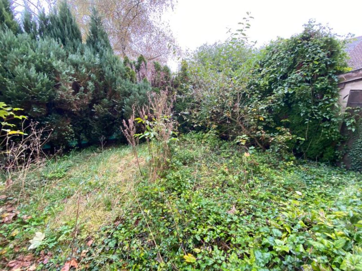  te koop dorpshuis Chalvraines Haute-Marne 9