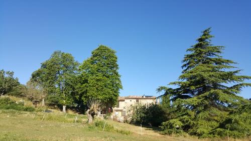 Forcalquier Alpes-de-Haute-Provence huis met gîte foto