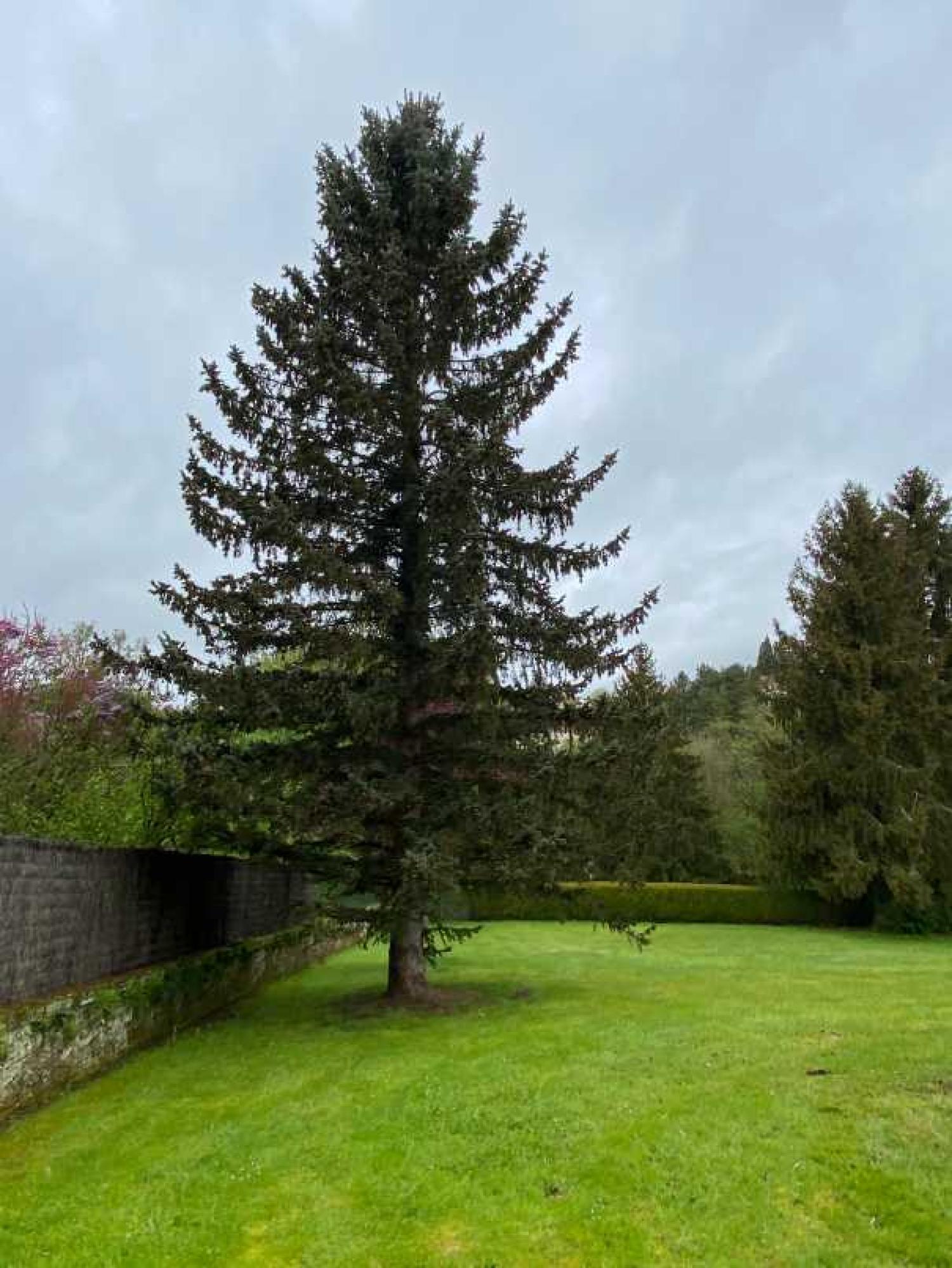 te koop herenhuis Monthureux-sur-Saône Vogezen 41
