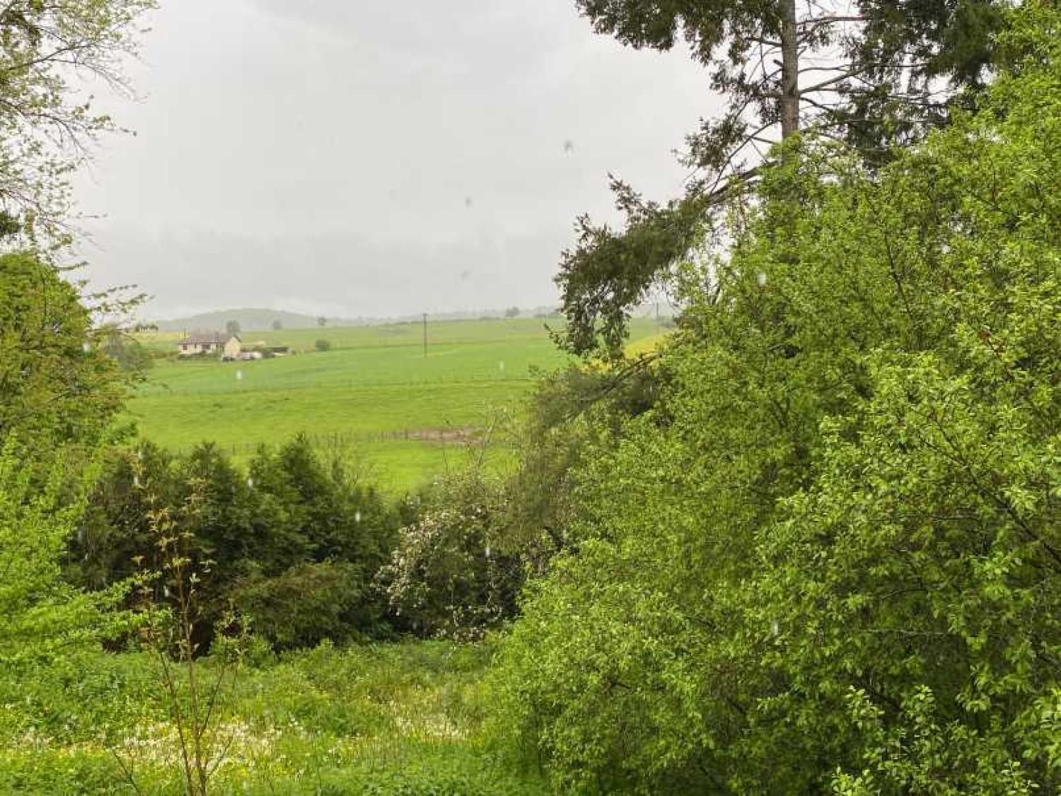  te koop dorpsboerderij Rosoy-sur-Amance Haute-Marne 8