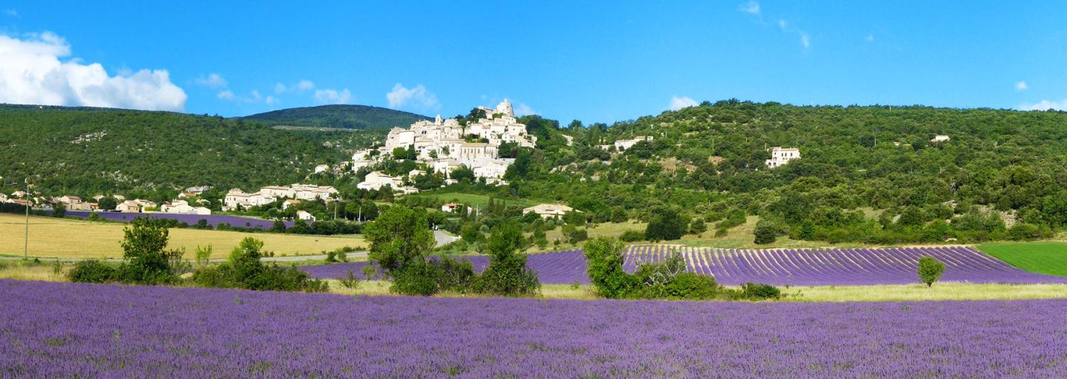  te koop huis met gîte Banon Alpes-de-Haute-Provence 61