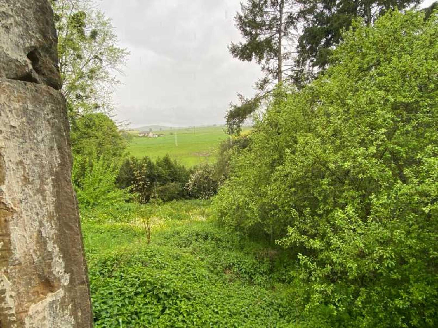  te koop dorpsboerderij Rosoy-sur-Amance Haute-Marne 7