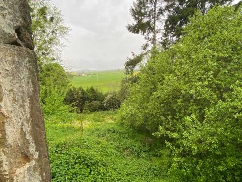  te koop dorpsboerderij Rosoy-sur-Amance Haute-Marne 7