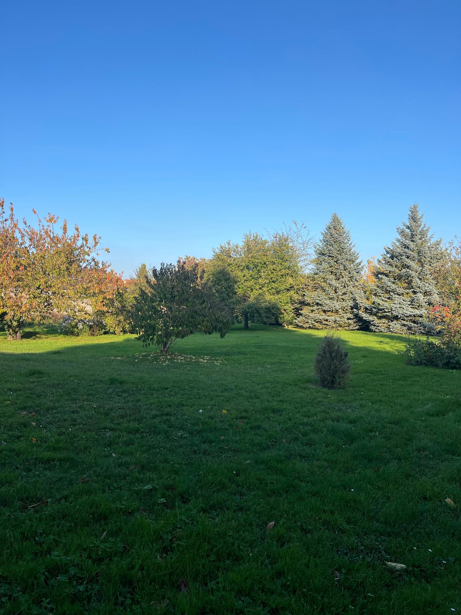  te koop vrijstaand huis La Houssaye-en-Brie Seine-et-Marne 10