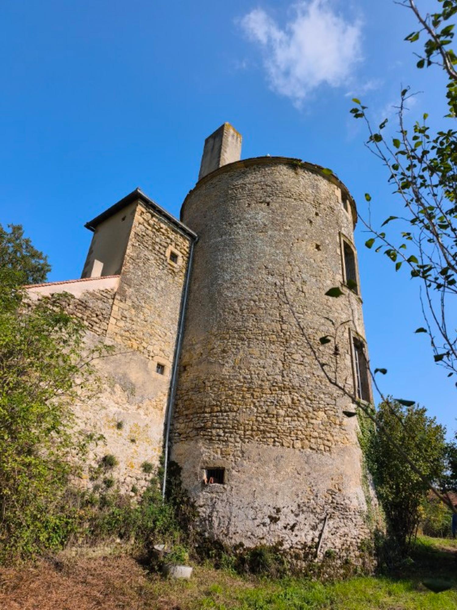 te koop kasteel Montigny-sur-Canne Nièvre 6