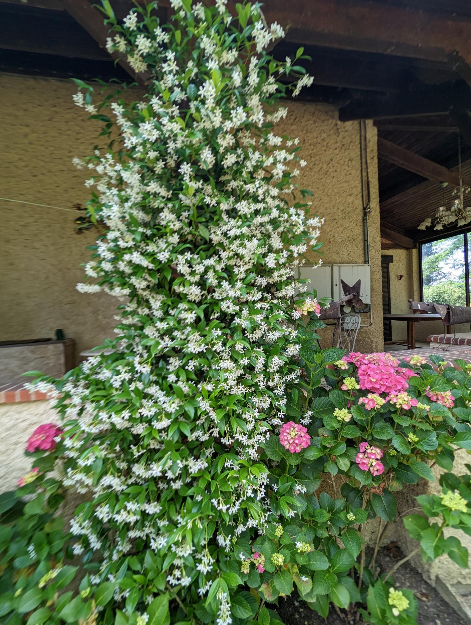  te koop vrijstaand huis Lannux Gers 23
