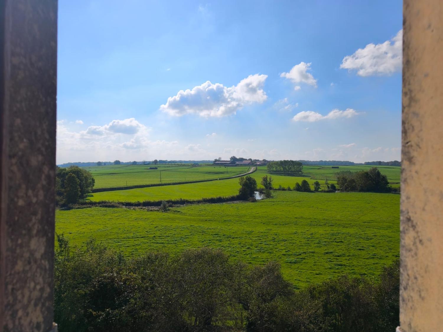  te koop kasteel Montigny-sur-Canne Nièvre 5