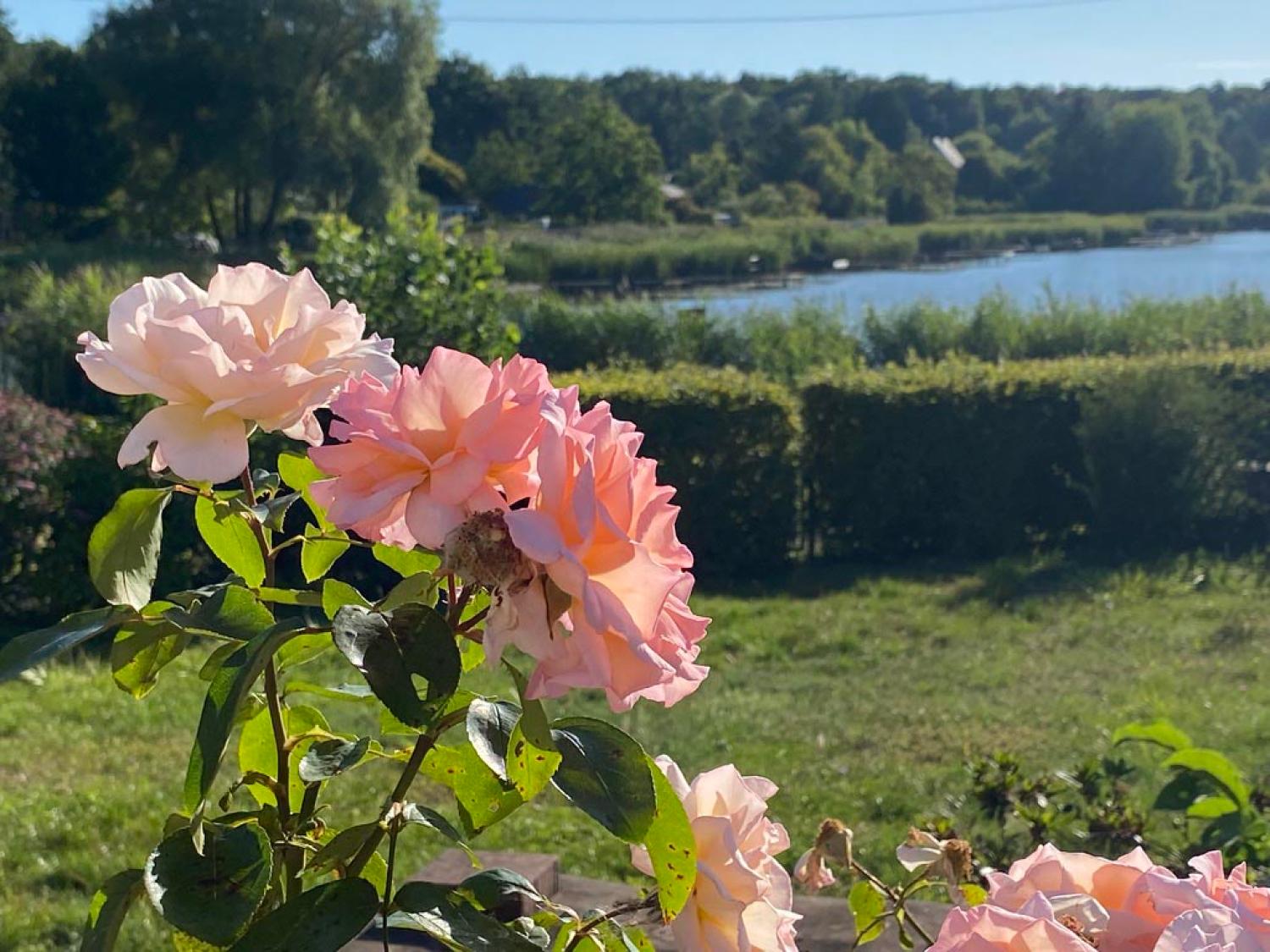  te koop huis Rémering-lès-Puttelange Moselle 10