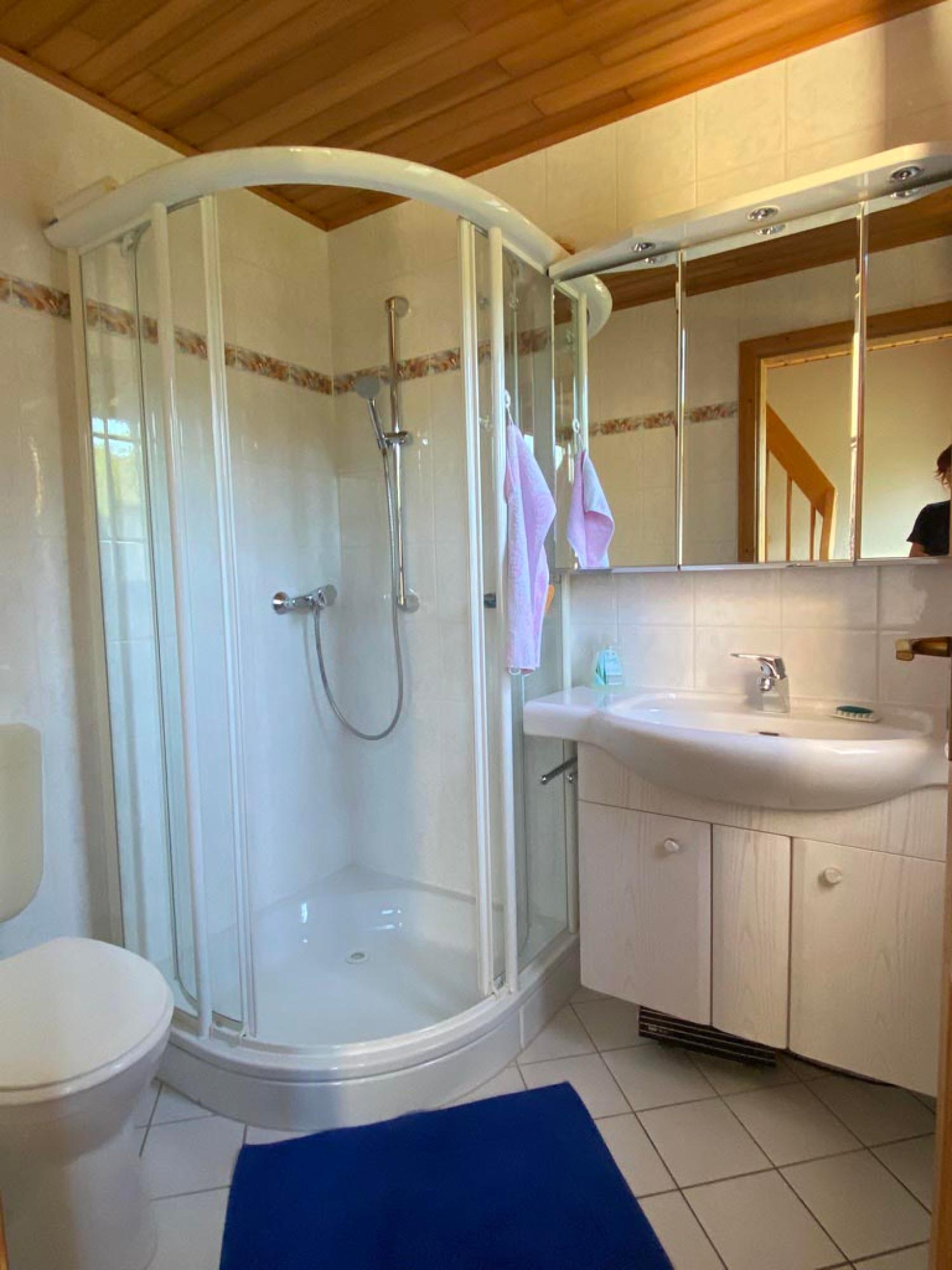  te koop huis Rémering-lès-Puttelange Moselle 12