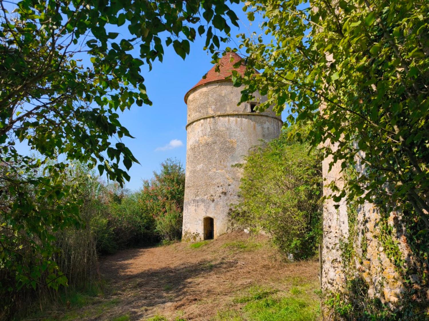  te koop kasteel Montigny-sur-Canne Nièvre 2