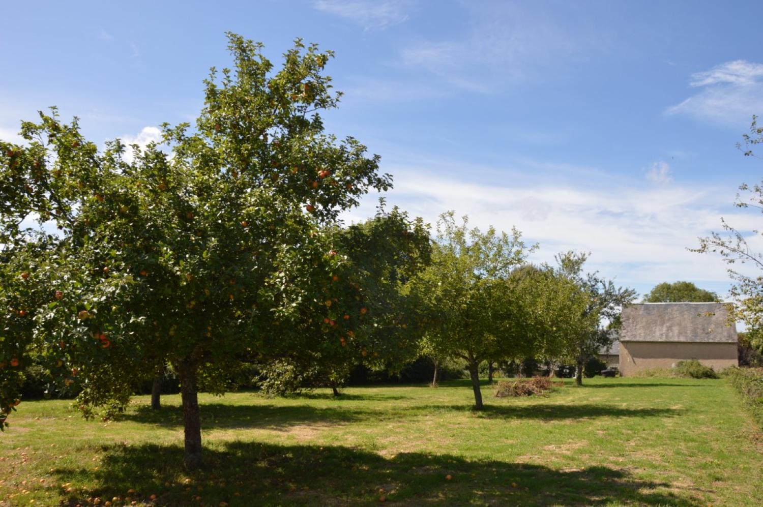  te koop vrijstaand huis Aunay-en-Bazois Nièvre 4