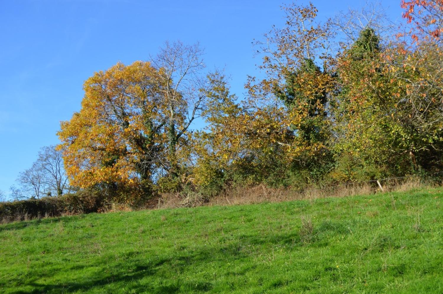  te koop huis Millay Nièvre 8