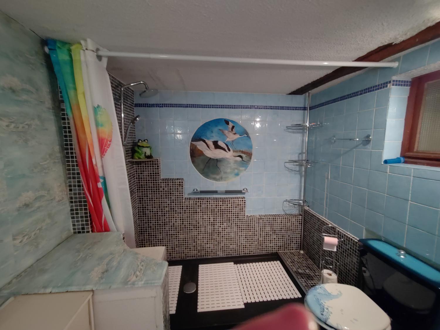  te koop vrijstaand huis La Lanterne-et-les-Armonts Haute-Saône 13