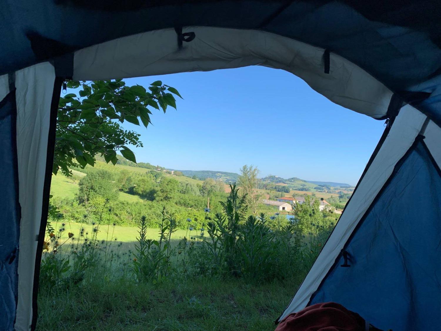  te koop landgoed Valeilles Tarn-et-Garonne 42