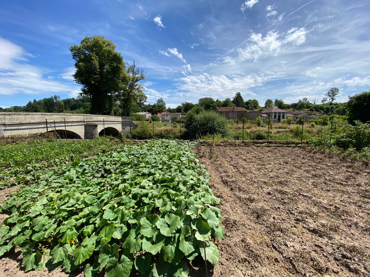 te koop herenhuis Monthureux-sur-Saône Vogezen 34