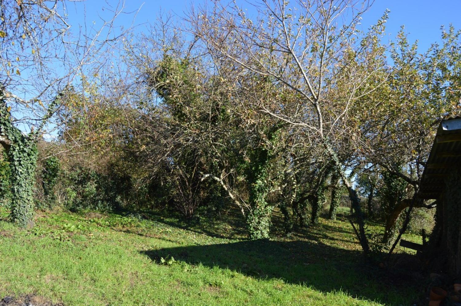  te koop huis Millay Nièvre 7