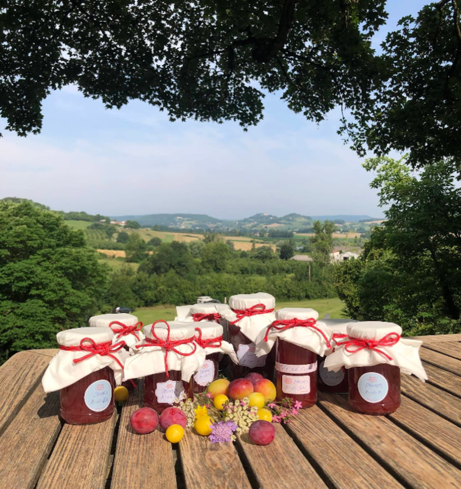  te koop landgoed Valeilles Tarn-et-Garonne 20