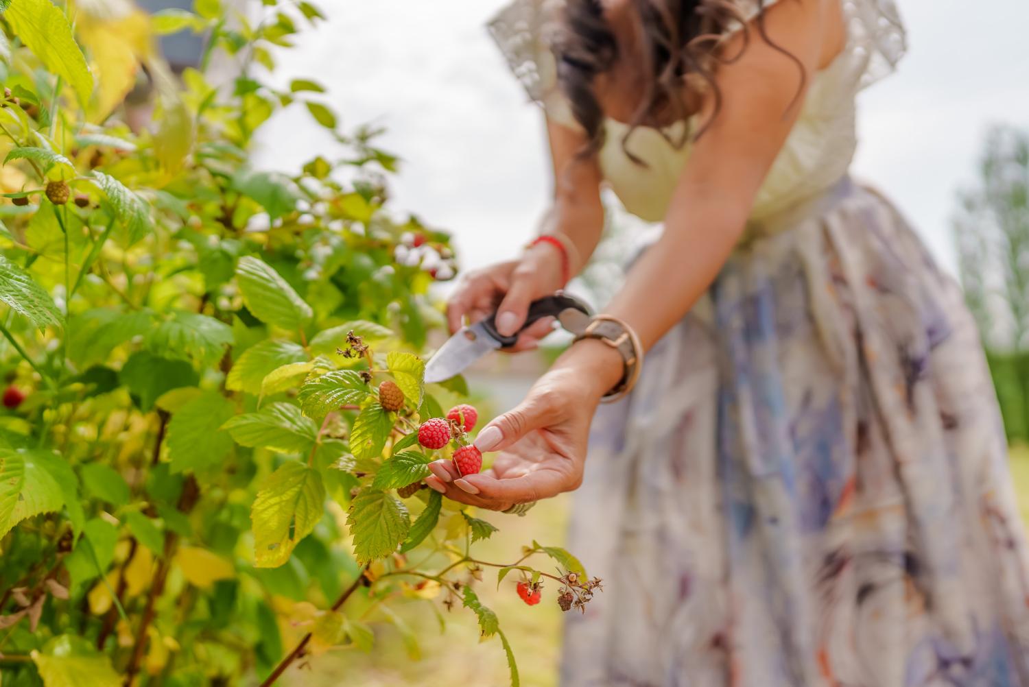  te koop villa Langon Loir-et-Cher 37