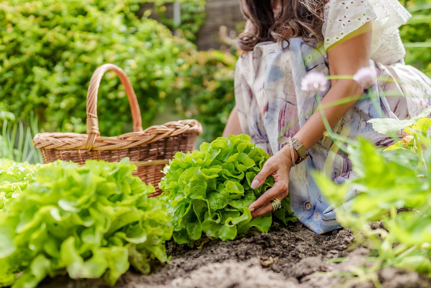  te koop villa Langon Loir-et-Cher 38