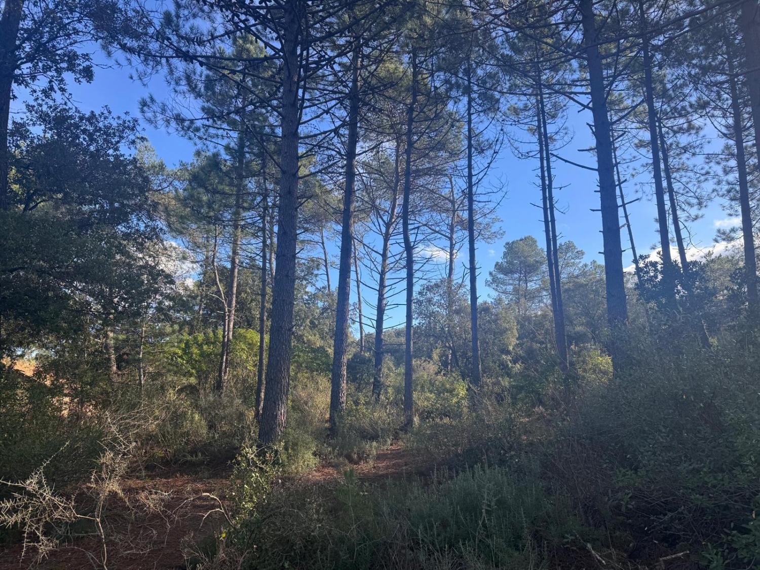  te koop huis Bédarieux Hérault 28