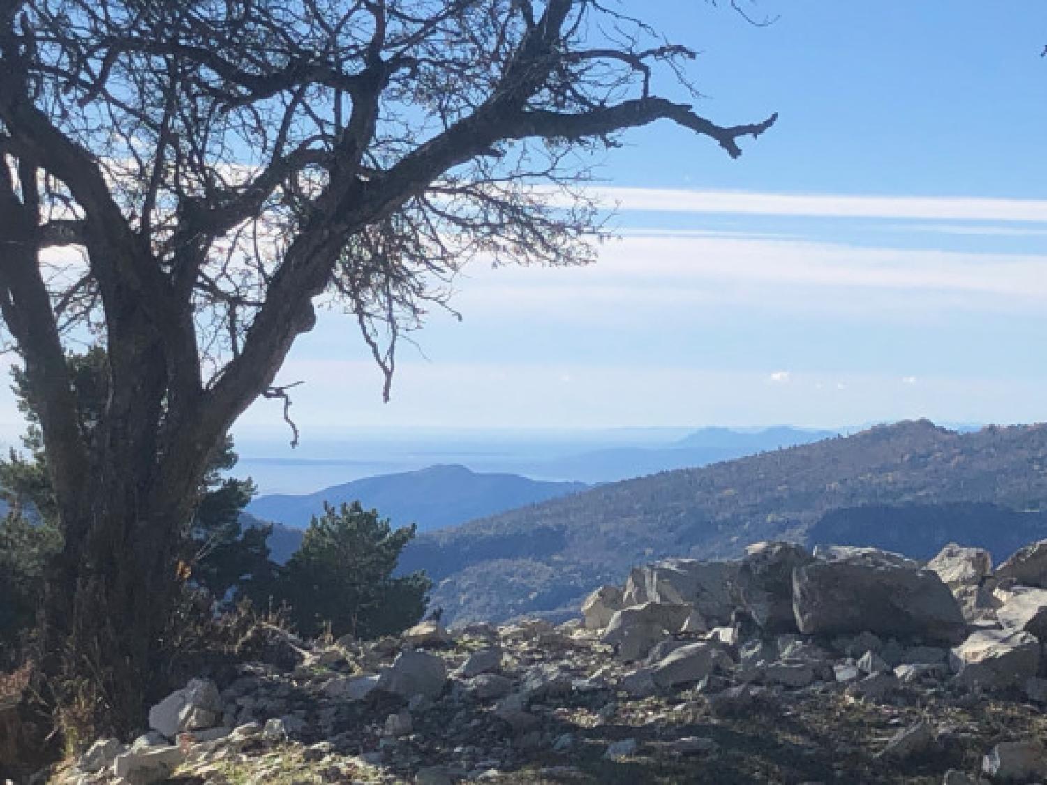  te koop terrein Sospel Alpes-Maritimes 1