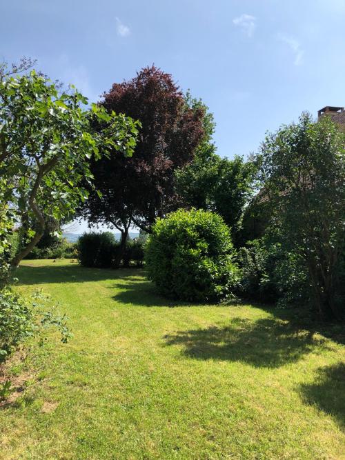  te koop huis Saint-Marcelin-de-Cray Saône-et-Loire 14