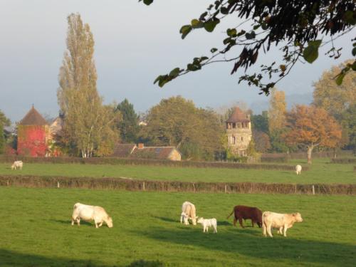  te koop huis Saint-Marcelin-de-Cray Saône-et-Loire 15
