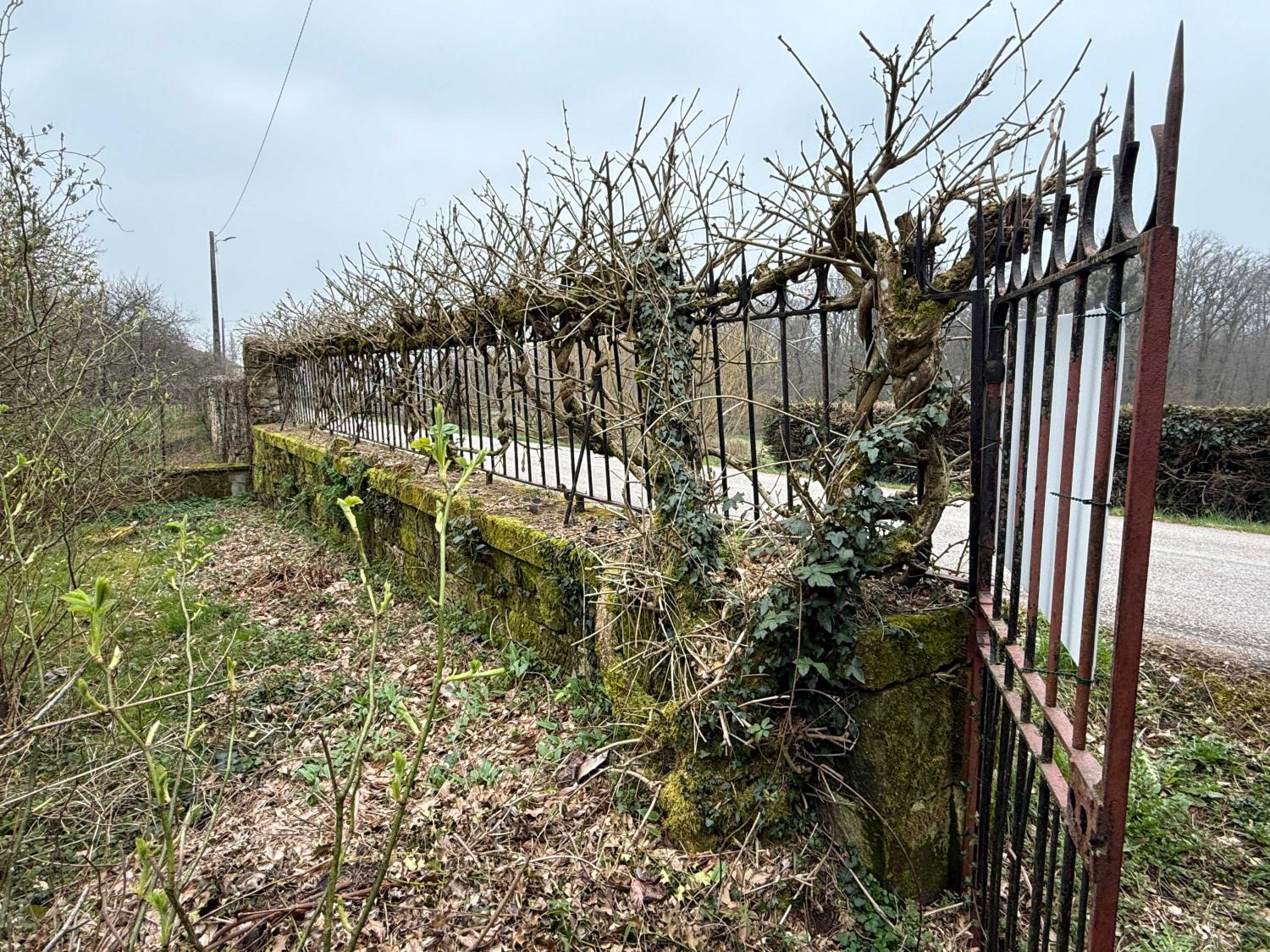  te koop vrijstaand huis Hennezel Vogezen 31