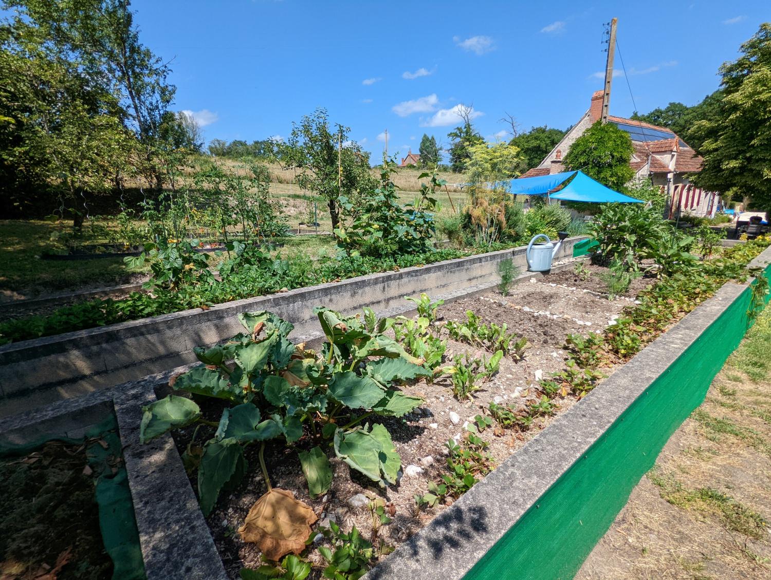  te koop vrijstaand huis Vicq-Exemplet Indre 14