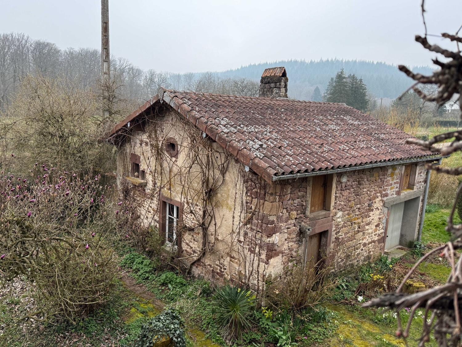  te koop vrijstaand huis Hennezel Vogezen 55