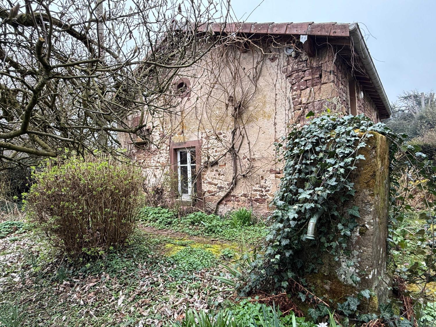  te koop vrijstaand huis Hennezel Vogezen 3