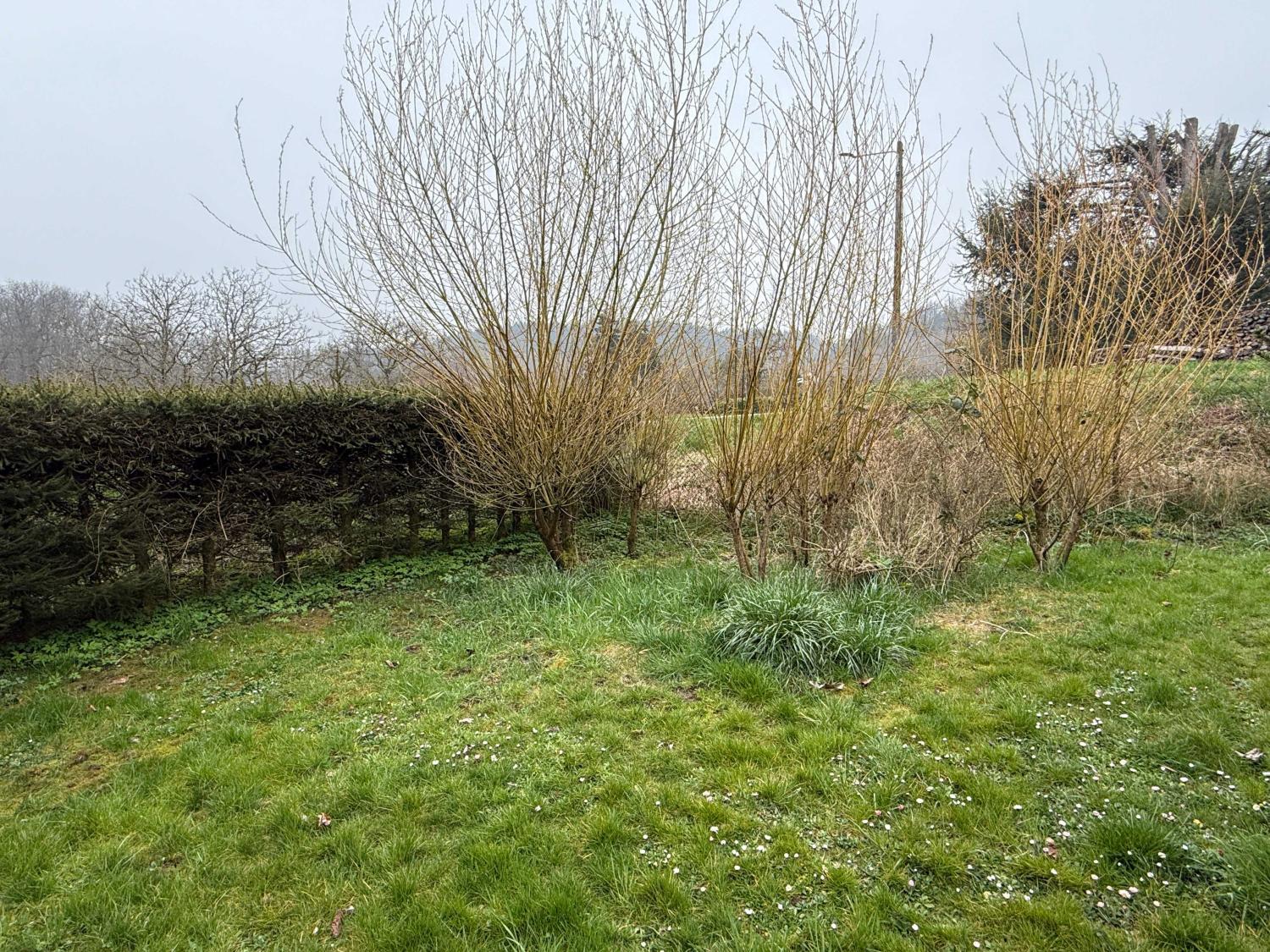  te koop vrijstaand huis Hennezel Vogezen 9