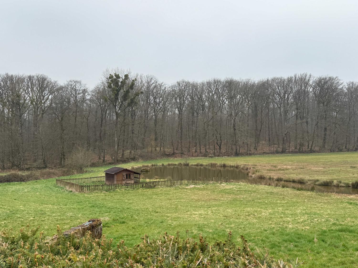  te koop vrijstaand huis Hennezel Vogezen 33