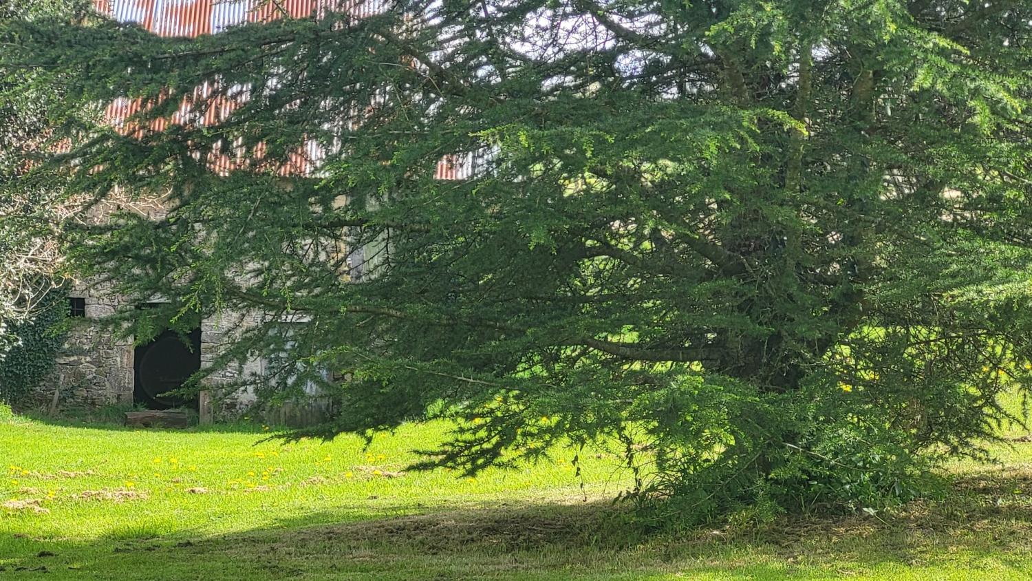  te koop vrijstaand huis Soulles Manche 34