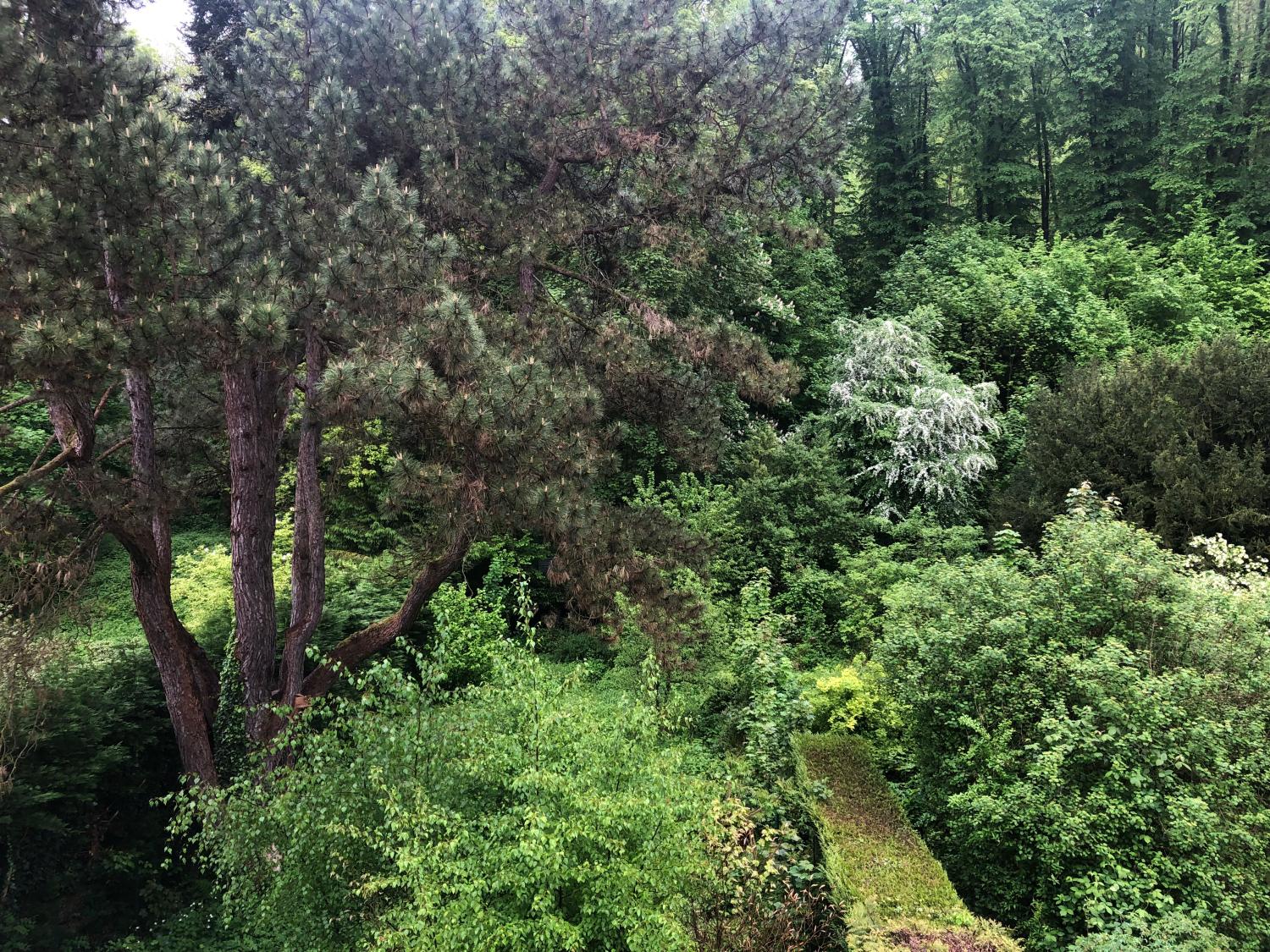  te koop herenhuis Bogny-Sur-Meuse Ardennes 38
