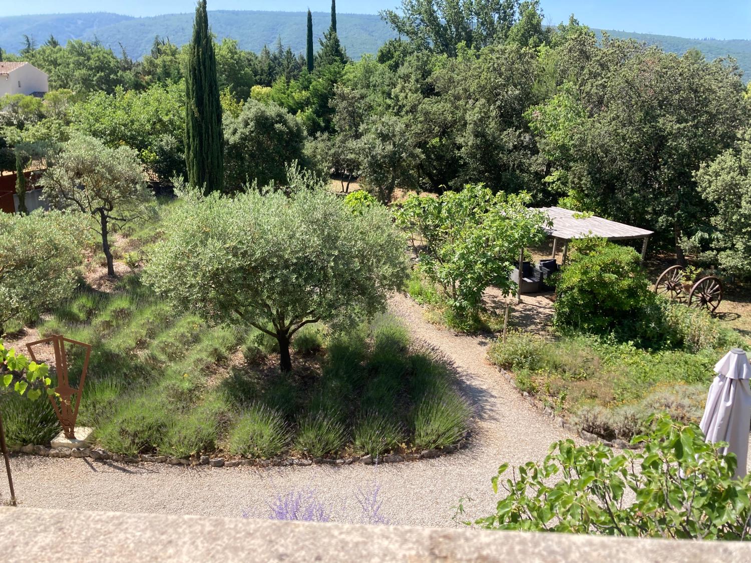  te koop gîtes/ chambres d'hôtes Lacoste Vaucluse 18