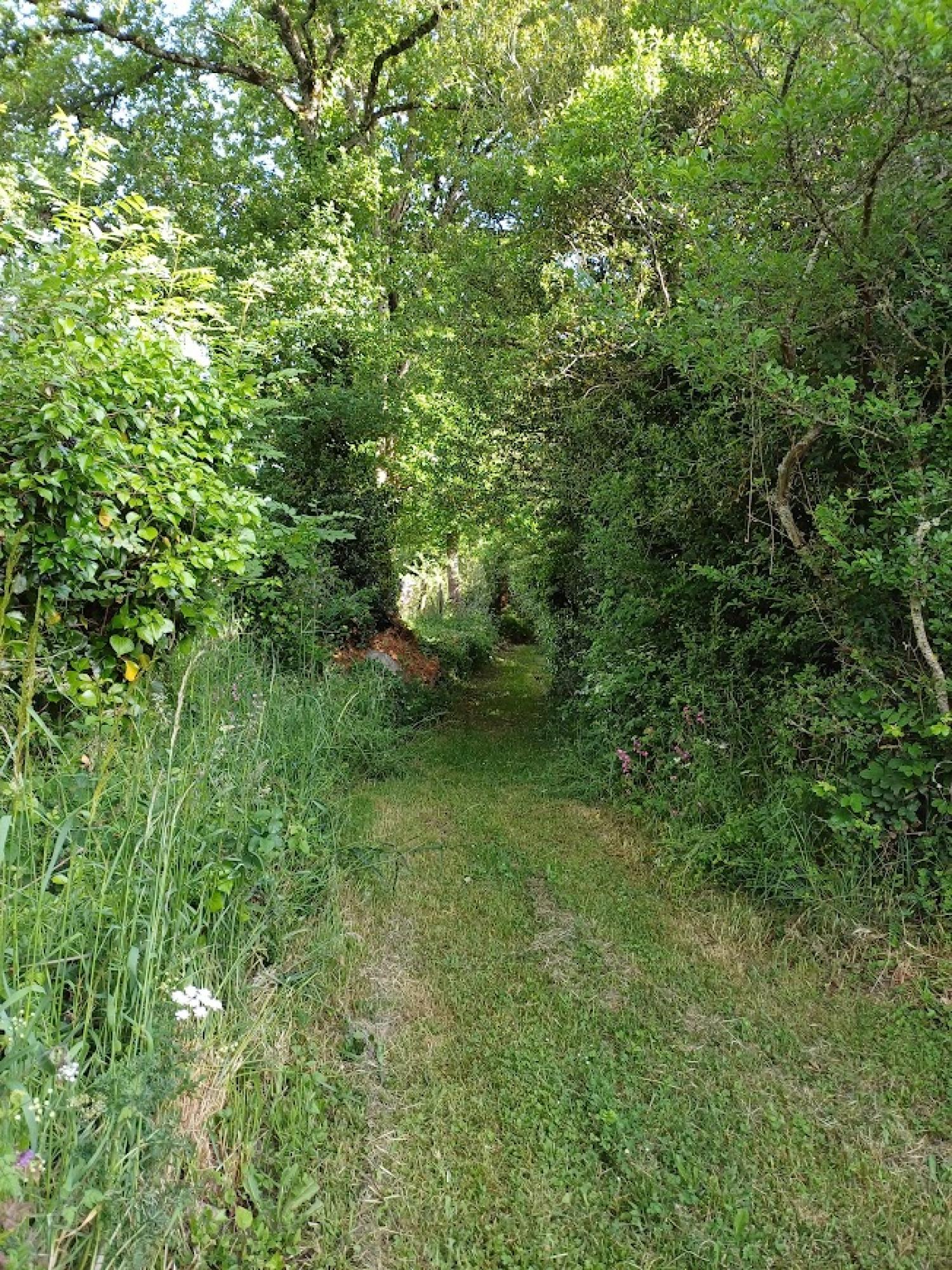  te koop vrijstaand huis Chénérailles Creuse 4