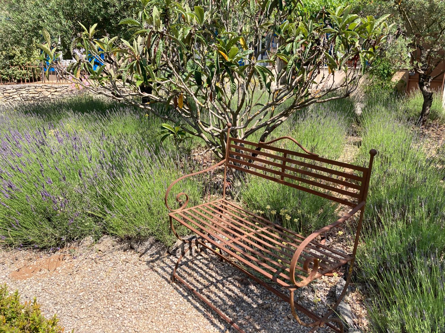  te koop gîtes/ chambres d'hôtes Lacoste Vaucluse 16