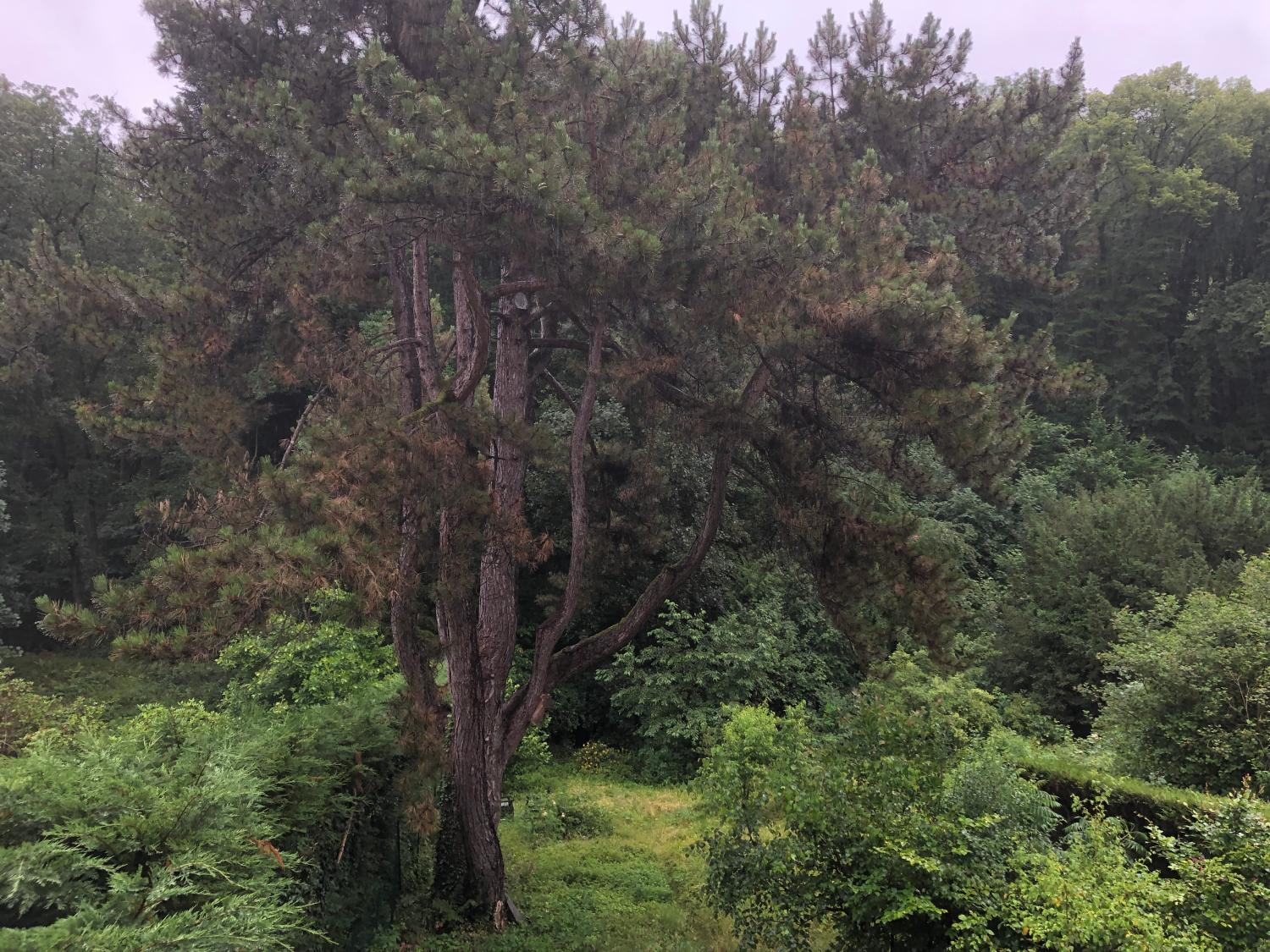  te koop herenhuis Bogny-Sur-Meuse Ardennes 35