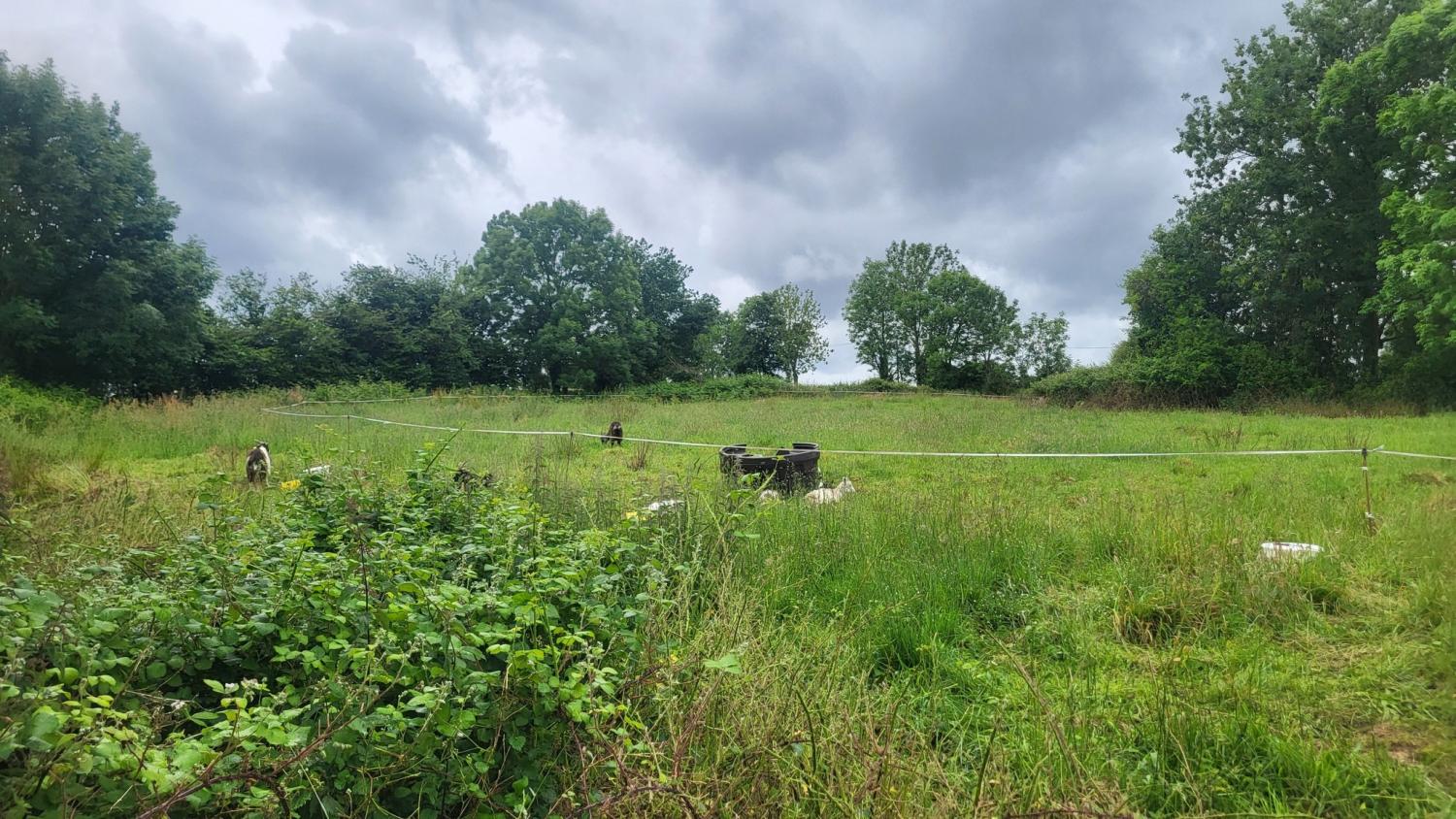  te koop vrijstaand huis Tessy-sur-Vire Manche 24