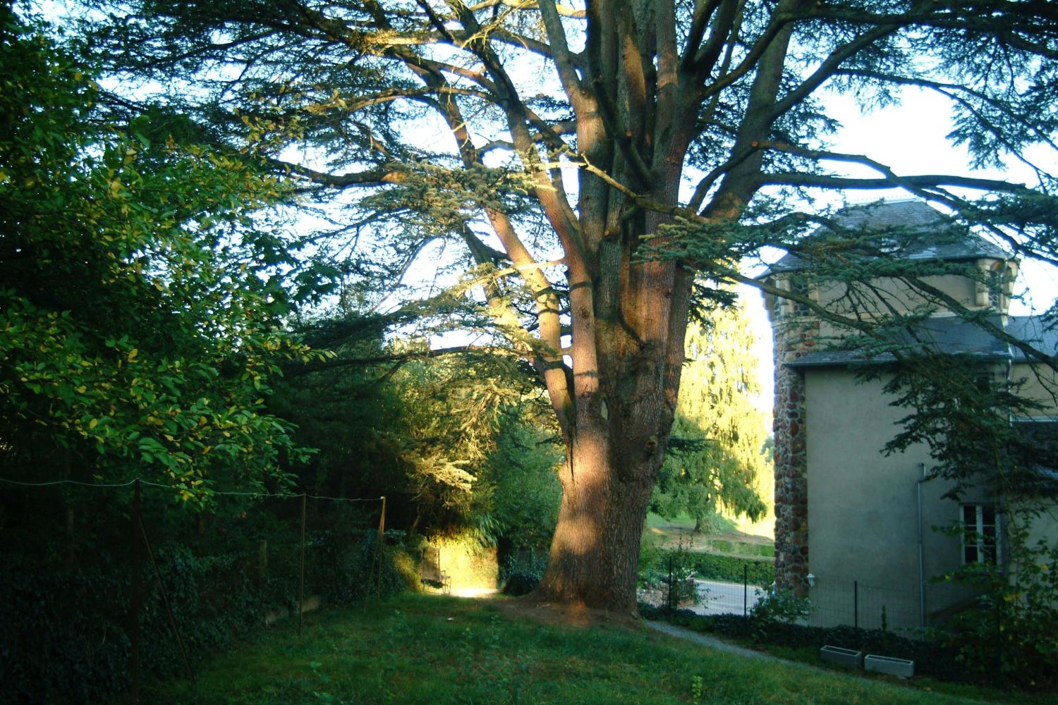  te koop kasteel Saint-Honoré-Les-Bains Nièvre 2